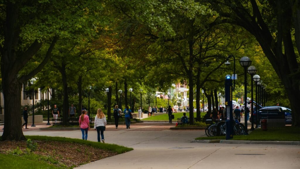Allée arborée d'un campus universitaire